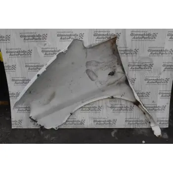 Φτερό Δεξι Hyundai H-1 2002-2010