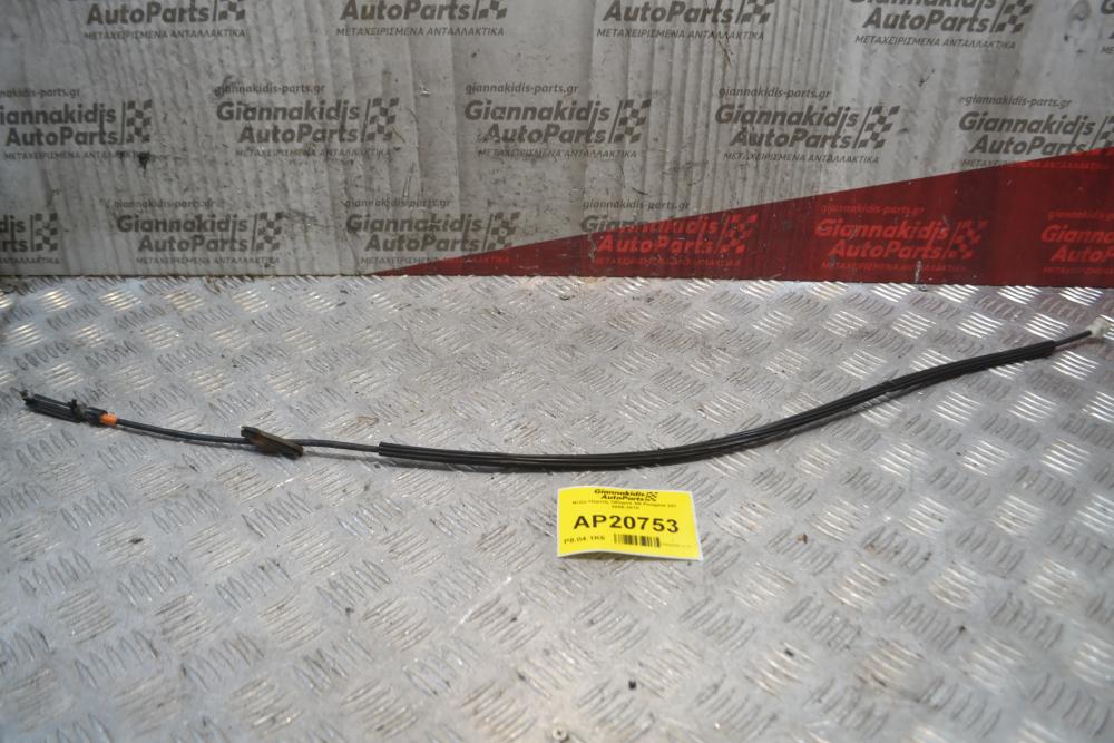 Nτίζα Πόρτας Οδηγού 3Θ Peugeot 207 2006-2010